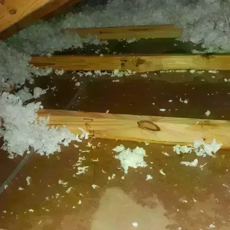 Attic Water Damage in Hopkins County, TX